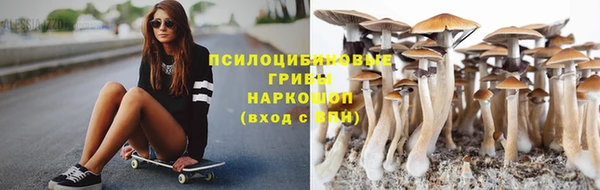 прущий лед Белокуриха