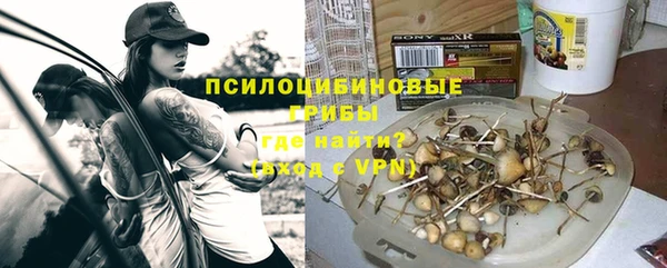 прущий лед Белокуриха