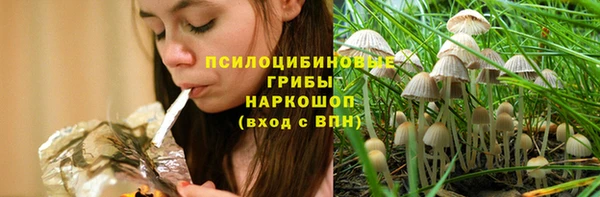 ГАЛЛЮЦИНОГЕННЫЕ ГРИБЫ Беломорск