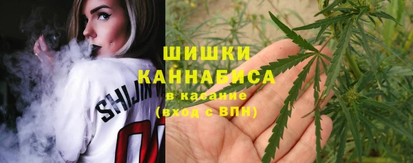 ГАЛЛЮЦИНОГЕННЫЕ ГРИБЫ Беломорск