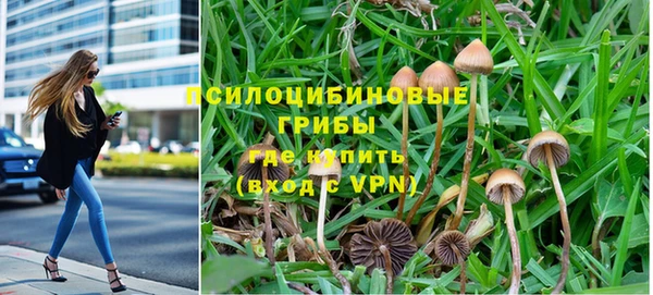 прущий лед Белокуриха